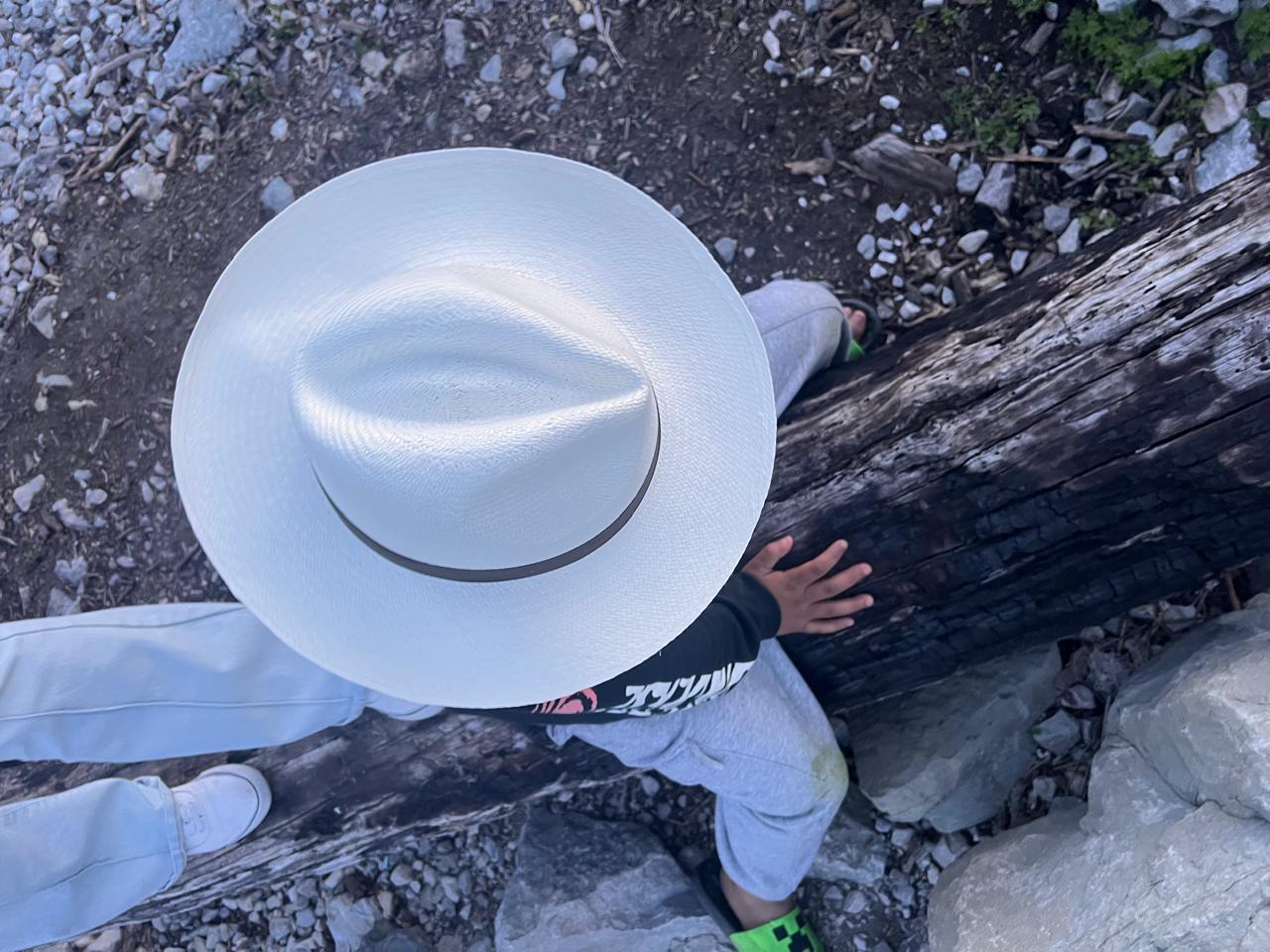 Toquilla Straw Fedora - Authentic Maison Fine Panama Hat